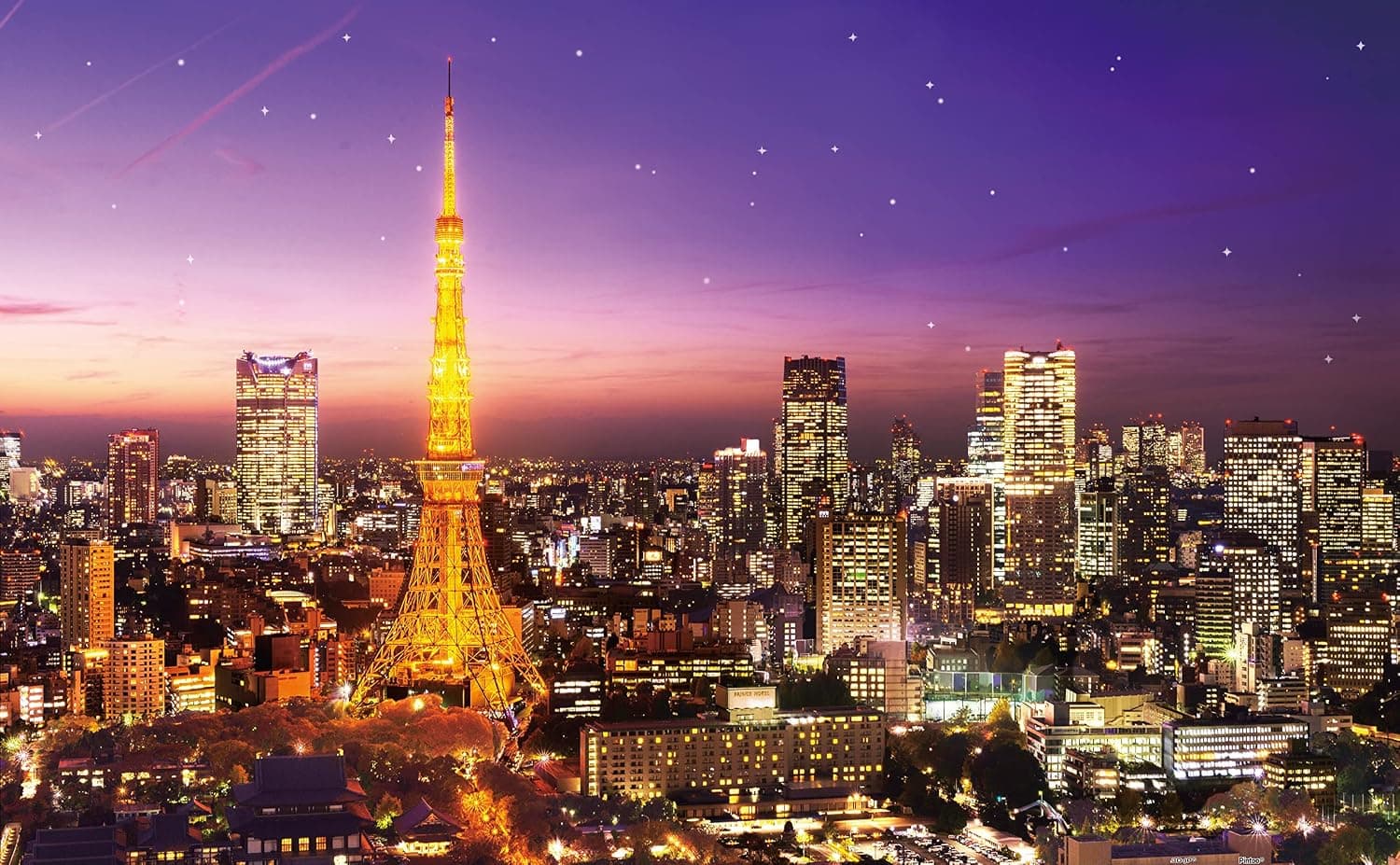 Pintoo Jigsaw Puzzles 1000 Piece for Adults - Tokyo Tower, Japan Beautiful Plastic Puzzle for Home Decor Zero Dust Easy Storage [H1769]