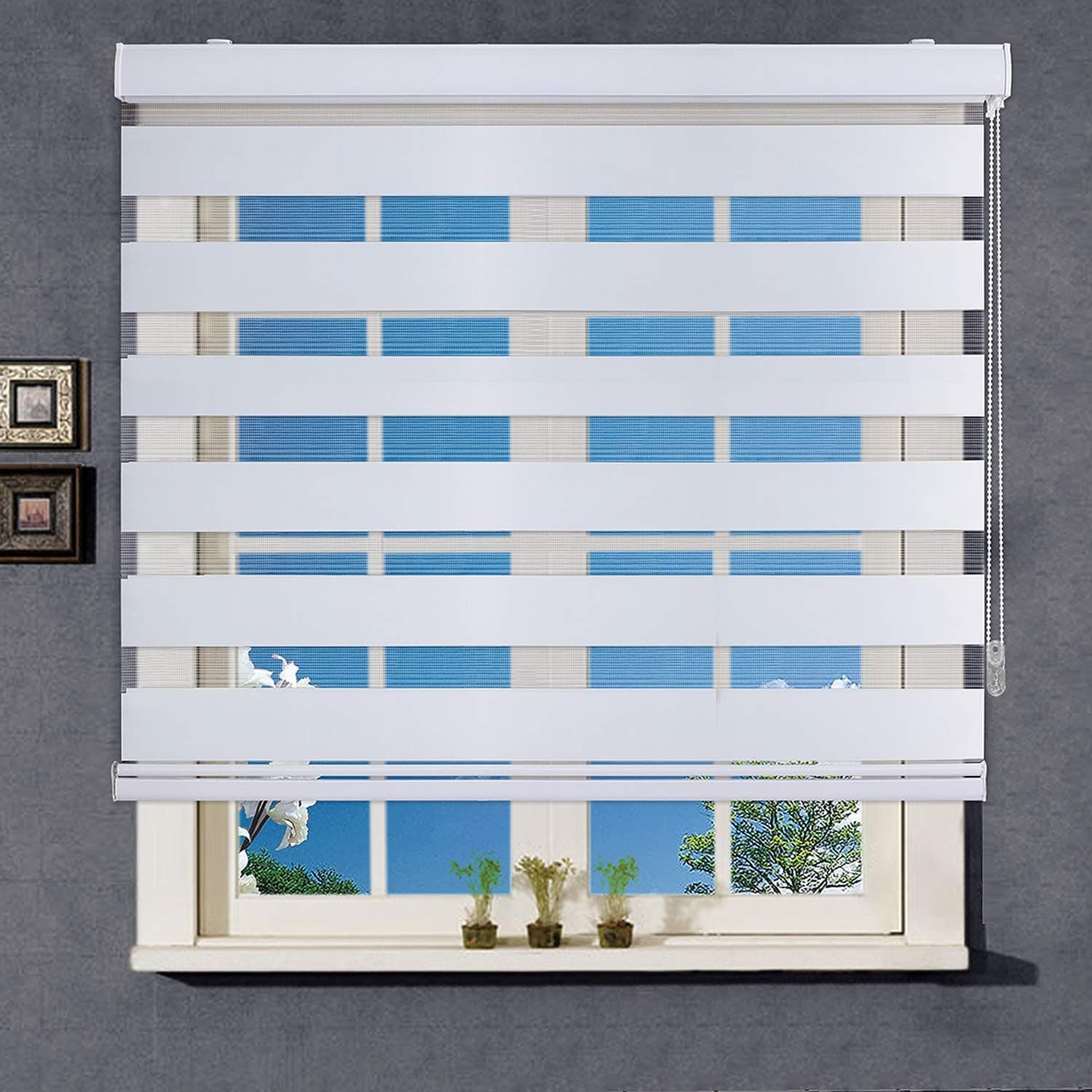 WYMO Zebra Blinds for Windows – 29 x 64 inch - Sheer Horizontal Window Blinds and Shades for Daytime and Nighttime - Light Filtering Roller Shades for Windows with White Valence, 20 to 72 inch Wide