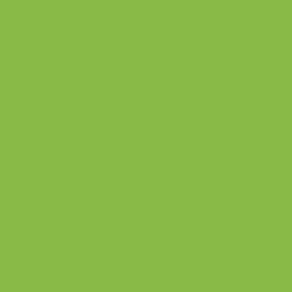 Formica Sheet Laminate 4x8 - Vibrant Green