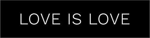 Love is Love Vinyl Vinyl Decal Wall Laptop Bumper Sticker 5"