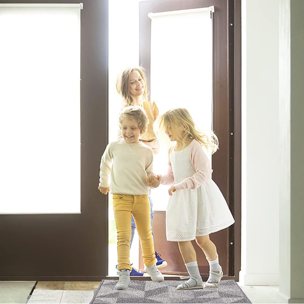 Eylola Door mat Front Door mat Indoor Door mats Entry Non Slip Entrance Indoor mats for Front Door Machine Washable Low-Profile Waterproof