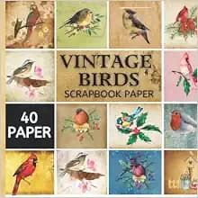 Vintage Birds Scrapbook Paper: 40 Birds Ephemera Collection for Scrapbooking, Collage and Others paper Craft