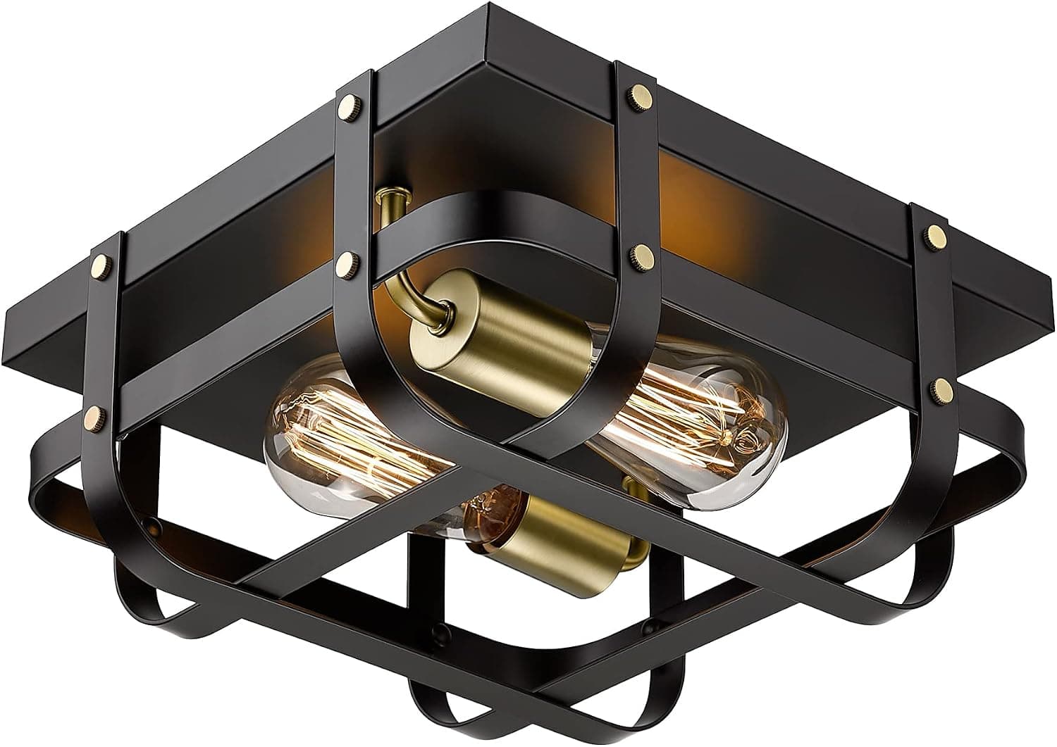 TOUNISAR 2-Light Ceiling Light, 12 Inch Industrial Flush Mount Ceiling Light, Farmhouse Metal Cage Close to Ceiling Light in Matte Black and Brushed Brass Finish for Bedroom, Kitchen, C9063 BK+BR