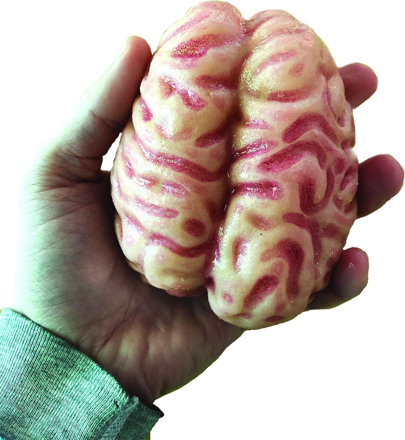 Growing Super Absorbent Brain | Your Brain will Grow Humongous | Just Add to Water | Copernicus Toys