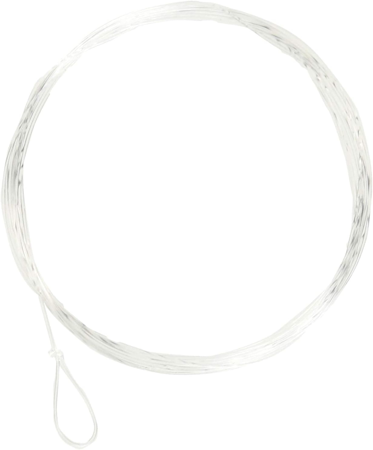 RIO Fly Fishing Trout 9' 2X Fishing Leaders, Clear