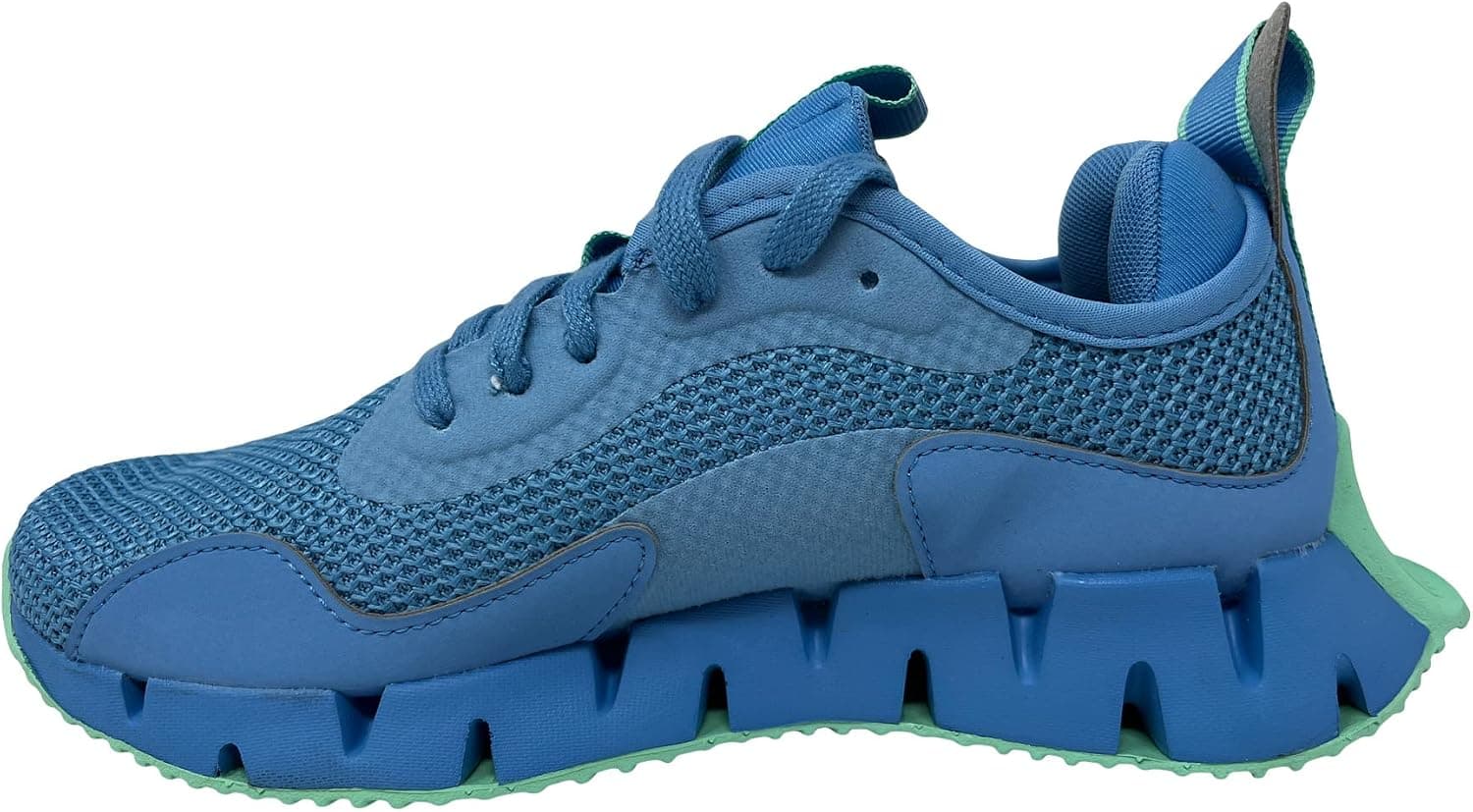 Reebok Women's Zig Dynamica Sneaker