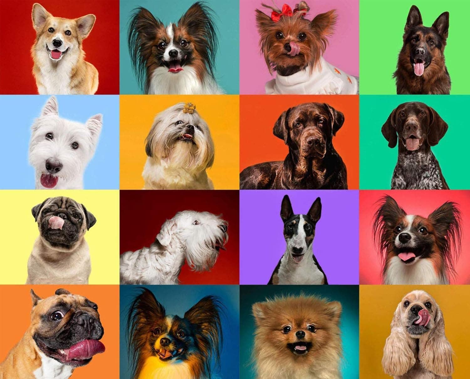 Jigsaw Puzzle Adult Puzzles Jigsaw Puzzles 1000 Pieces -1000 Piece Puzzle Jigsaw Puzzle - Dog Jigsaw Puzzle