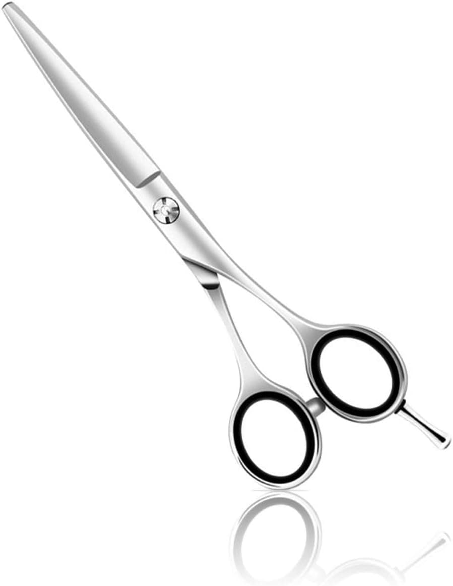 10 PCS Professional Hair Cutting Scissors 6.7inch Barber Thinning Scissors Hairdressing Shears Japanese Hair Cutting Shears Set with Cape Clips Comb for Barber Salon and Home (6.7inch, Silver)