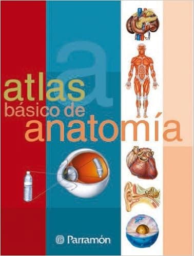 Atlas básico de anatomía (Spanish Edition)