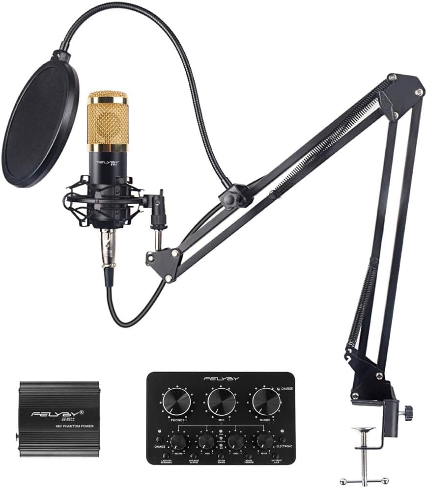 Recording Condenser Microphone, FELYBY Professional Studio Cardioid Mic Kit, Microphone with XLR Cable for Singing/YouTube/Streaming/Podcasting/Zoom Meeting