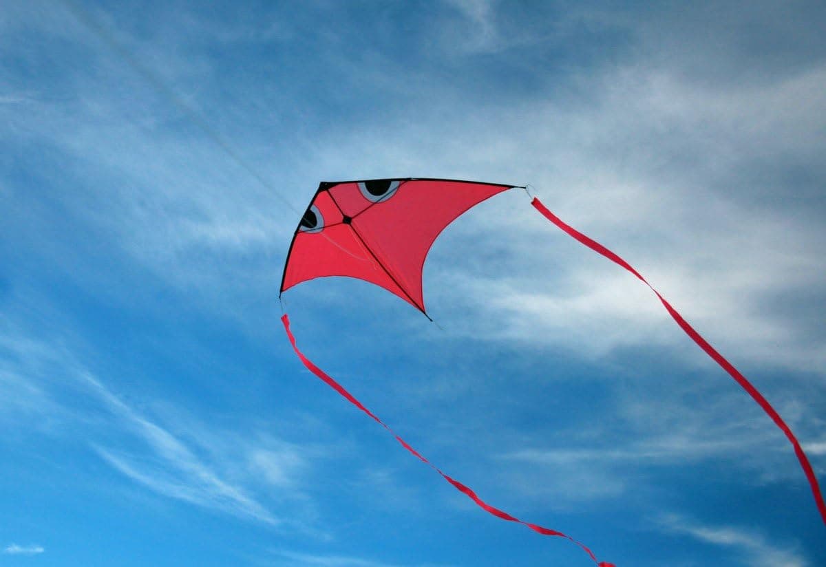 Delta Fish Swim in Sky Kite with Flying Line and Handle Large Kite for Kids and Adults