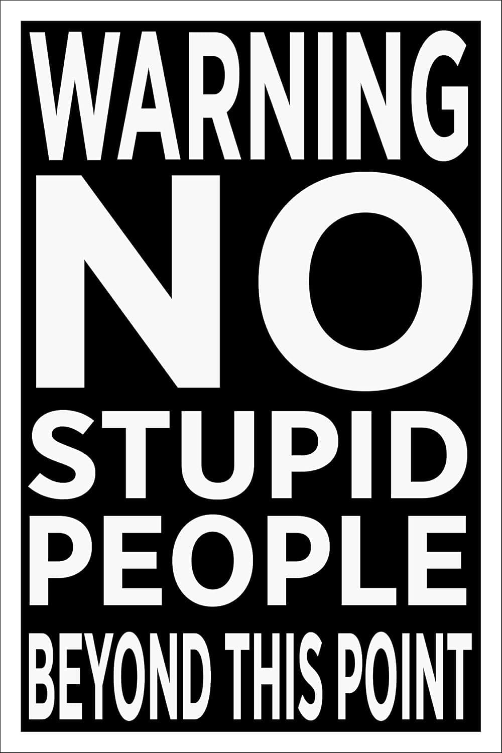 Spitzy's Poster for Boys Bedroom - Warning No Stupid People Beyond This Point, 12x18 Inches, Gaming Poster for Girls and Boys, Home Wall Decor for Bedroom, Office, Gameroom, Classroom