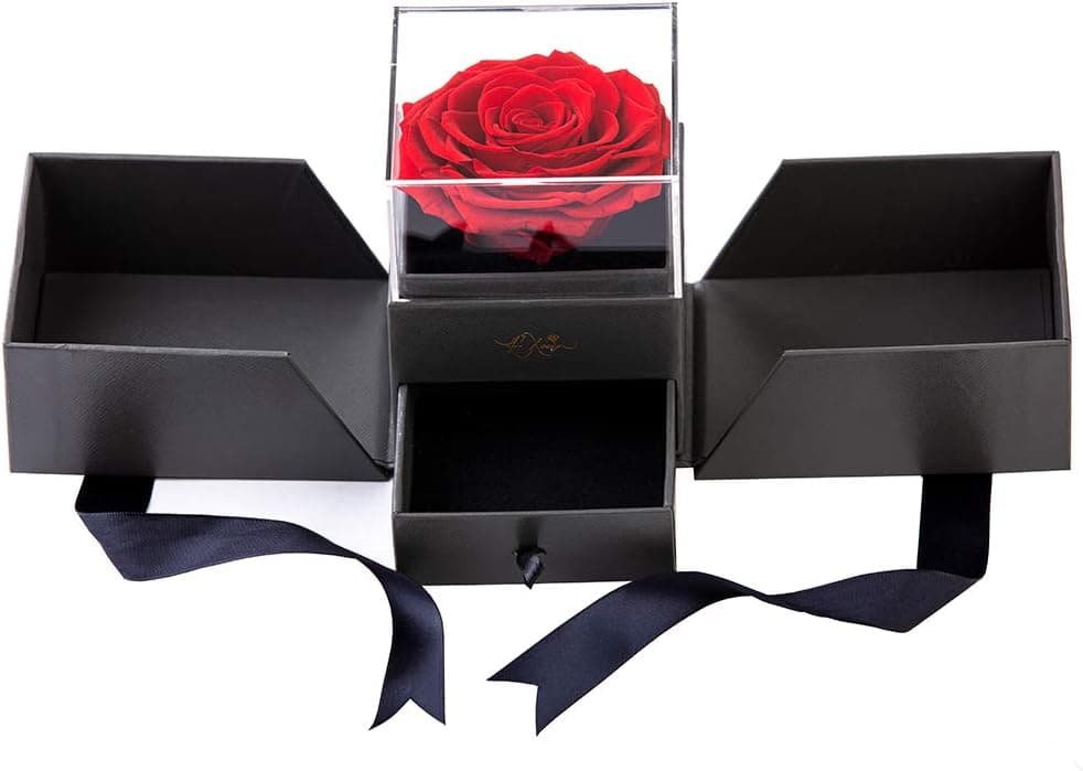 Hannah Forever Rose Gift Box | Rose Last A Year | Preserved Eternal Rose | Premium Infinity Rose | Handmade Long Lasting Rose | Immortal Rose in Gift Box with Gift Card (1, Red Rose)