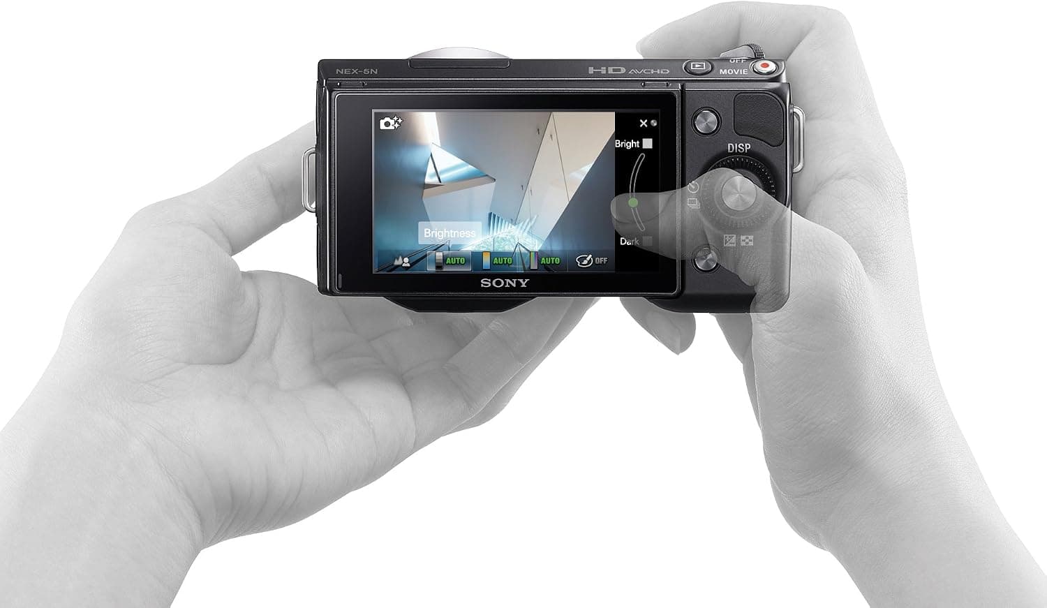 Sony NEX5RL/B 16.1 MP Mirrorless Digital Camera 16-50mm Power Zoom Lens and 3-Inch LED (Black)