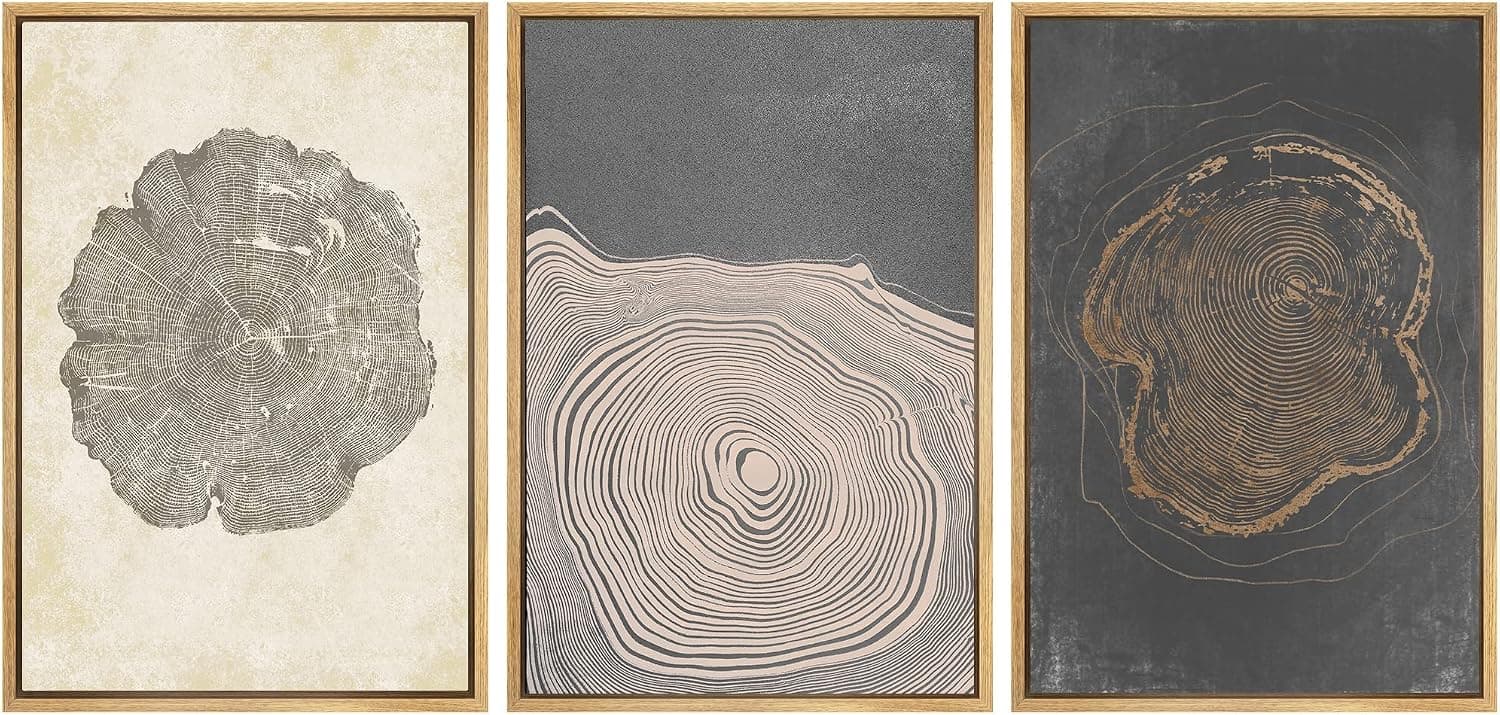 SIGNWIN Framed Canvas Print Wall Art Set Pastel Gray Wood Tree Ring Spirals Nature Abstract Drawings Modern Art Decorative Minimal for Living Room, Bedroom, Office - 16"x24"x3 Natural