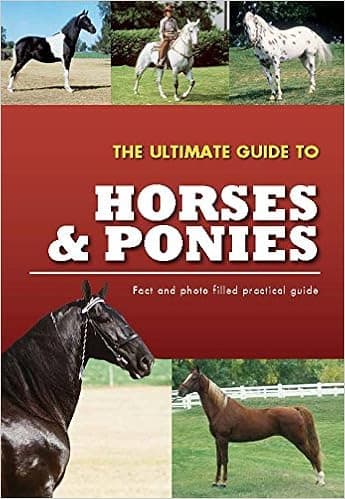 The Ultimate Guide To Horses & Ponies (Practical Guides)