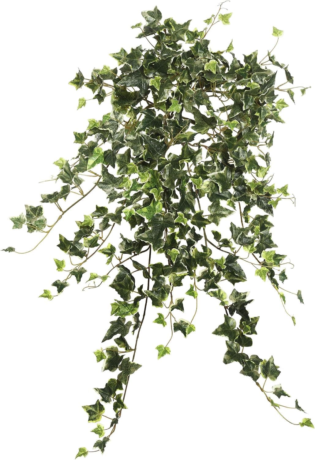 Vickerman 26" Artificial Variegated Mini Ivy Hanging Bush - Faux Indoor Plant Bush - Greenery for Home Or Office Decor - Maintenance Free