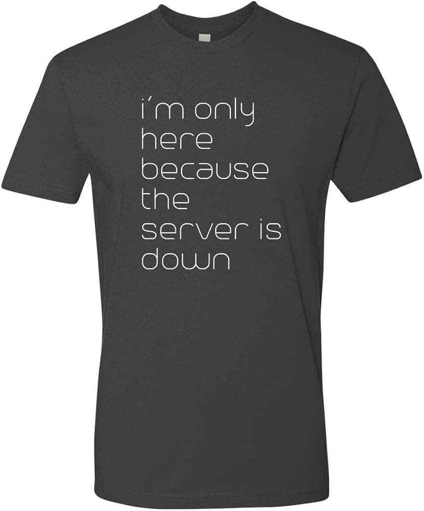 Panoware Men's Gamer Gaming T-Shirt | I'm Only Here Because The Server is Down, Heavy Metal, XX-Large