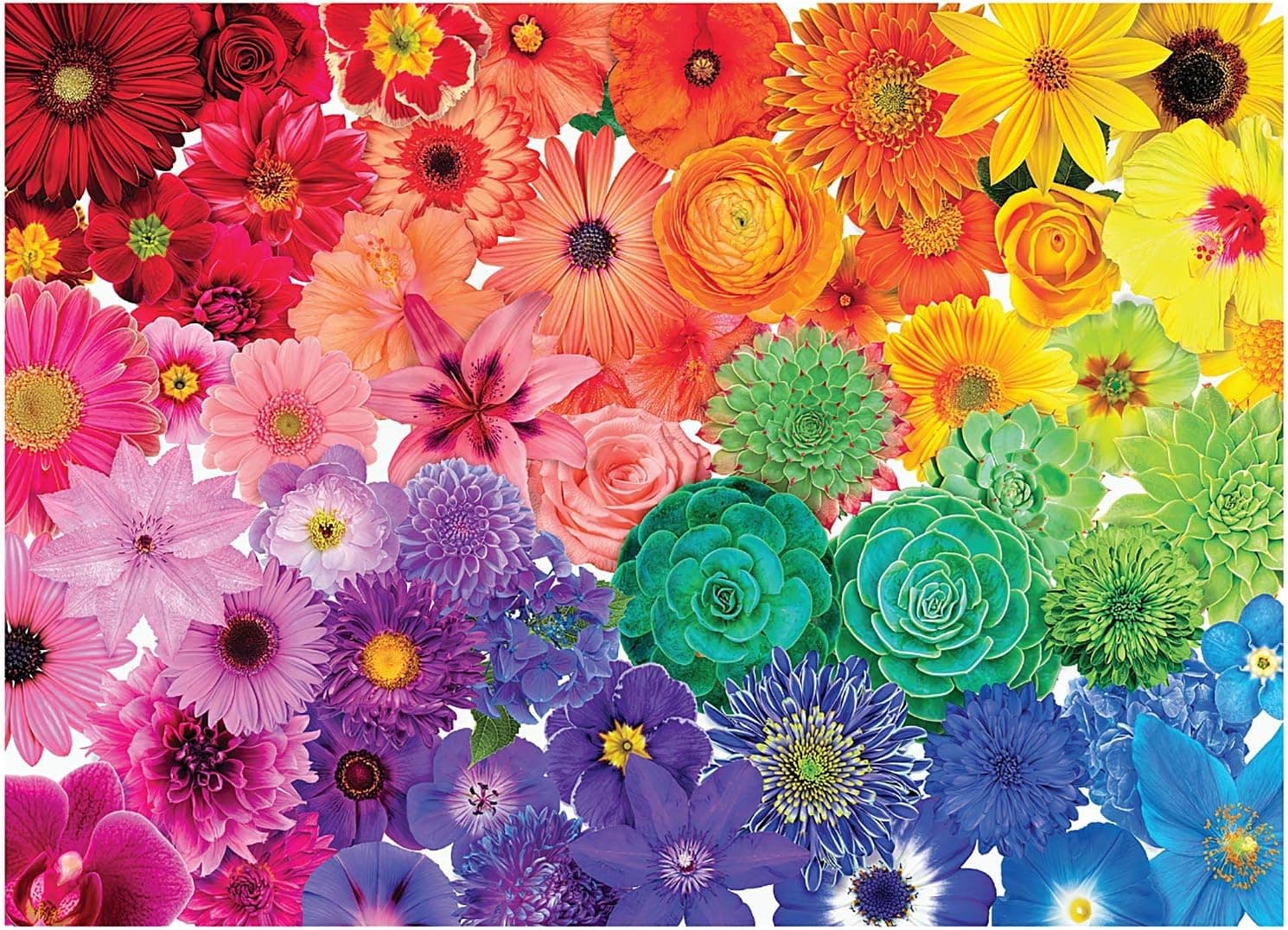 The Rainbow Flower-1000 Pieces of Puzzles for Children and Adult, Artwork Art Large Size Puzzle Toy Educational Gift Home Decoration, Each Piece of Puzzle is Unique(27.6 inch x 19.7 inch)
