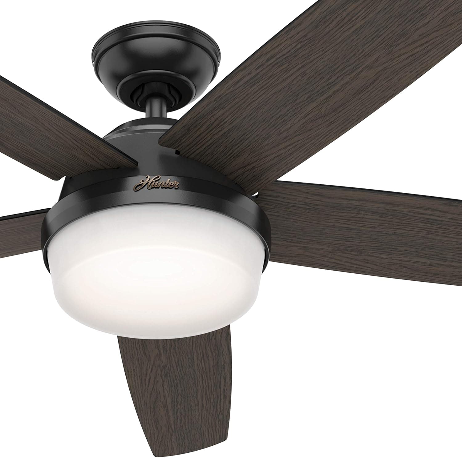 Hunter Fan 60 inch Contemporary Matte Black Indoor Ceiling Fan with Light Kit and Remote Control (Renewed)