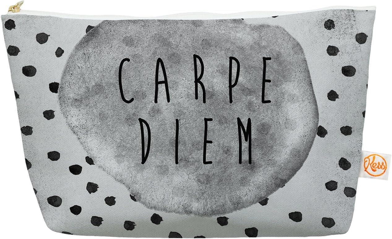 Kess InHouse Everything Bag, Tapered Pouch, Vasare NAR"Carpe Diem" Quote Gray, 8.5 x 4 Inches (VN1016AEP03)