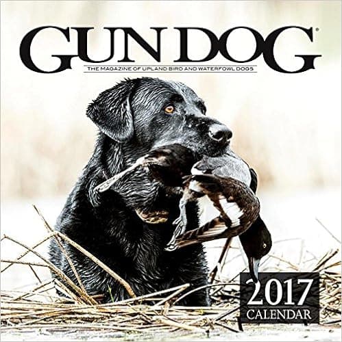 2017 Gun Dog Calendar