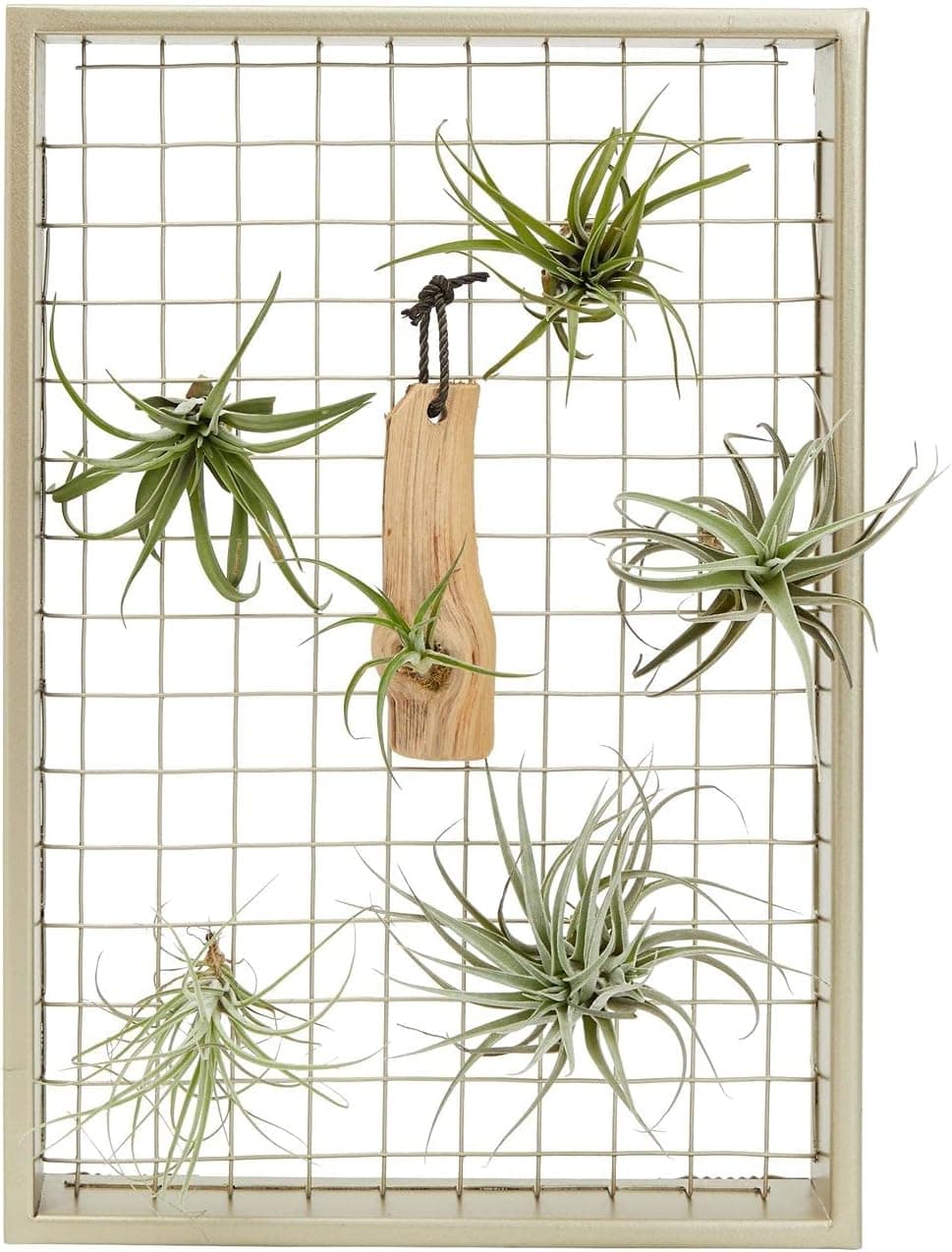 Juvale Air Plant Holder Frame, 11" x 16" Wall Mounted Planter for Hanging Tillandsia Decor (Gold)