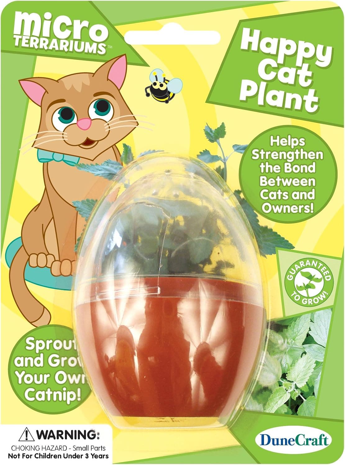 DuneCraft Happy Cat Plant Science Kit