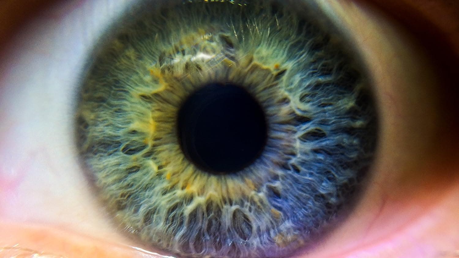 10x High Definition 2 Element Close-Up (Macro) Lens 77mm (Stronger Alternativ.