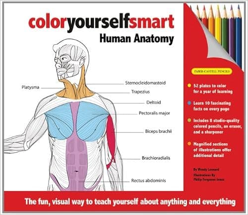 Color Yourself Smart: Human Anatomy