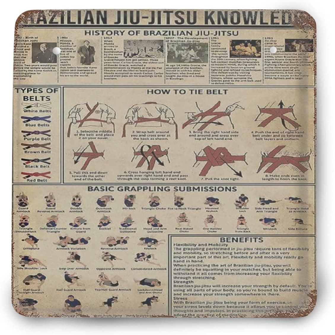 Metal Tin Sign，retro Style， Novelty Poster，iron Painting，brazilian Jiu Jitsu Knowledge Tin Sign -fighting Martial Print Art Loving Jiu Jitsu Gift，wall Decoration Plaques 8 X 8 Inch