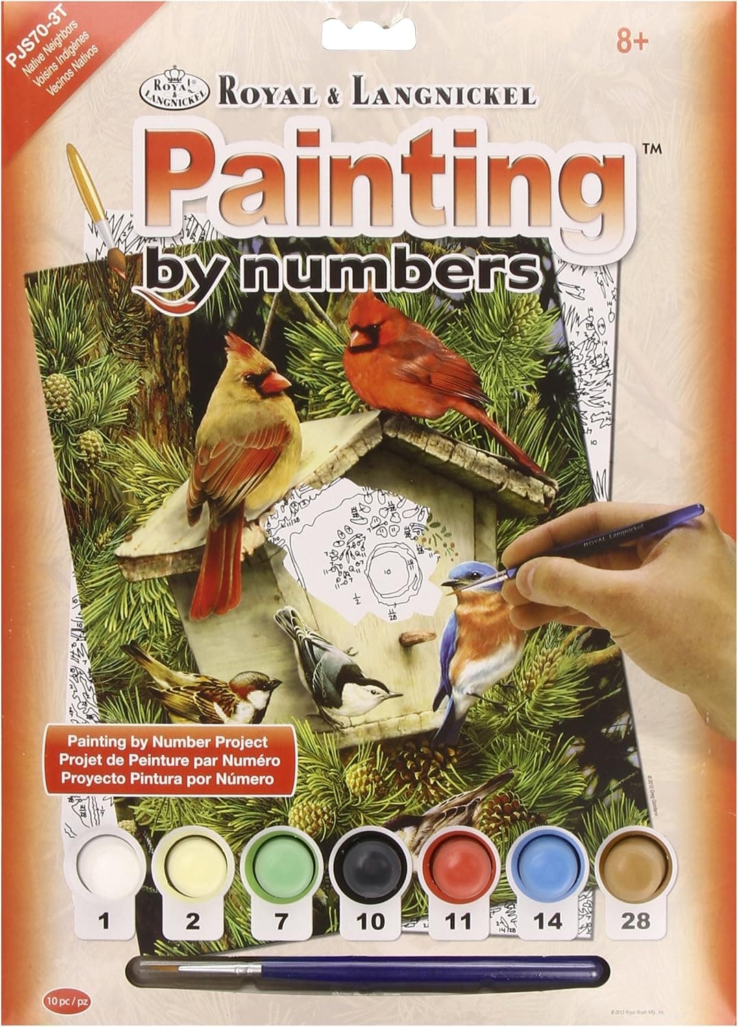 ROYAL BRUSH Junior Small Paint by Number Kit 8-3/4"X11-3/4-Native Neighbors