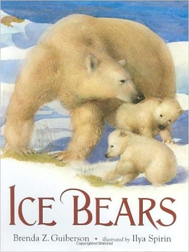 Ice Bears