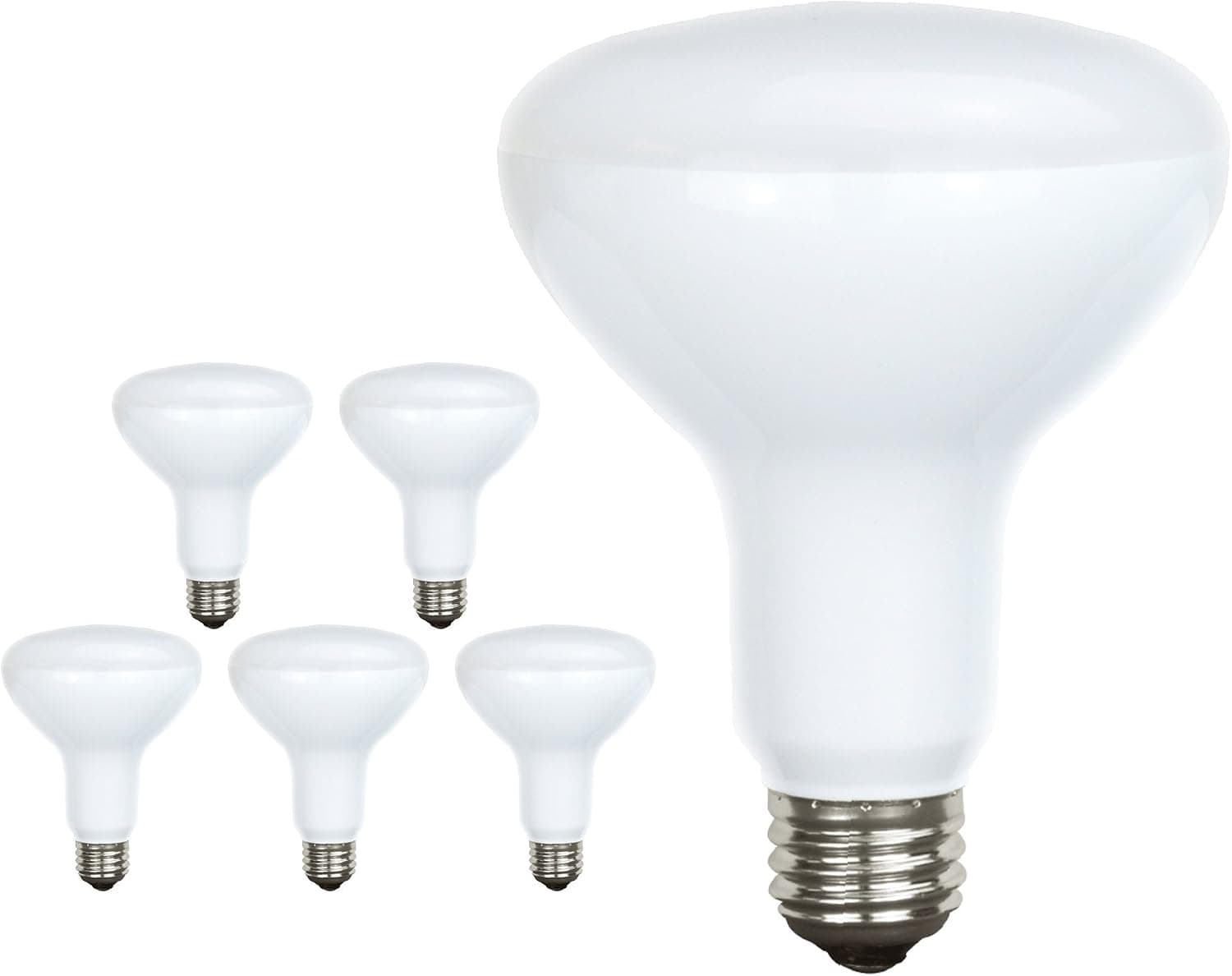 VIZTA Vbr30en65p6 BR30 (6 Pack), Small, White