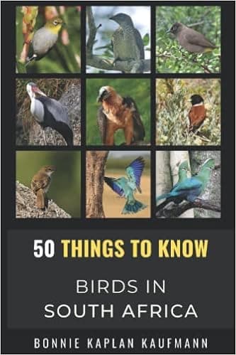 50 Things to Know About Birds in South Africa: Beginners Guide to Birding in South Africa
