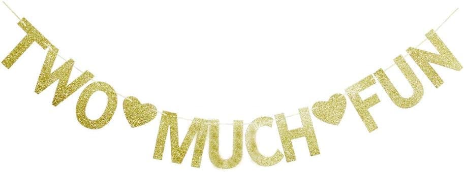 Two Much Fun Banner, Gold Glitter Sign Garland for Kids' / Boys' / Girls' / Twins' 2nd Birthday Party Decor Supplies