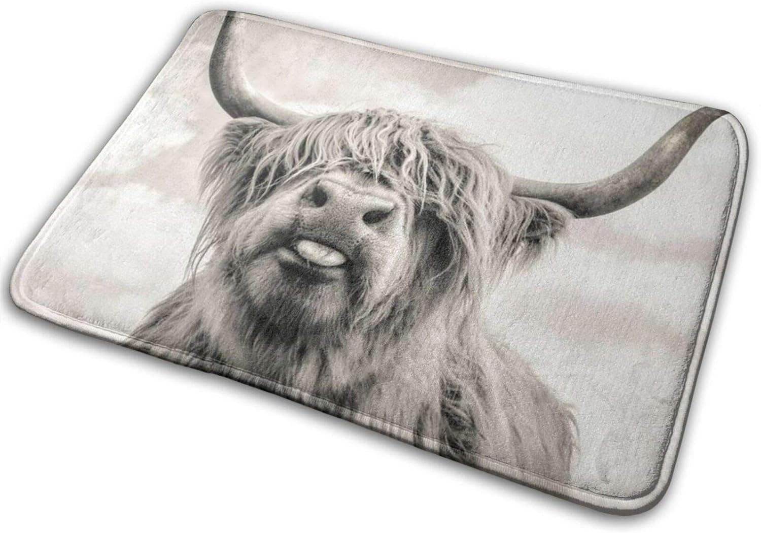 Billichase Highland Cow Bathroom Rug Mat Non Slip and Ultra Soft Bath Rug Washable Throw Rugs for Tub, Shower, and Bath Room (15.8"x23.6", 19.5"x31.5")