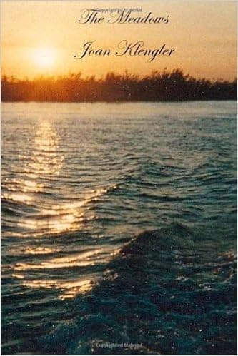 The Meadows (The Delta Mysteries)