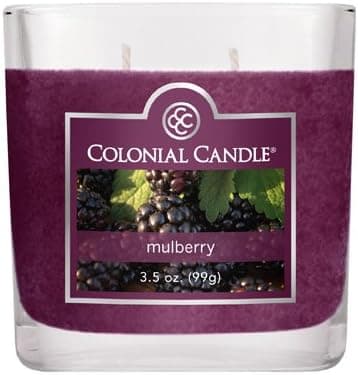 Colonial Candle 3-1/2-Ounce Scented Oval Jar Candle, Mulberry