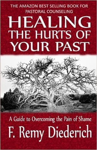 Healing the Hurts of Your Past: A Guide to Overcoming the Pain of Shame Paperback November 28, 2011
