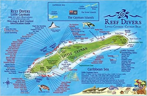 Little Cayman Island Dive Map & Reef Creatures Guide Laminated Fish Card