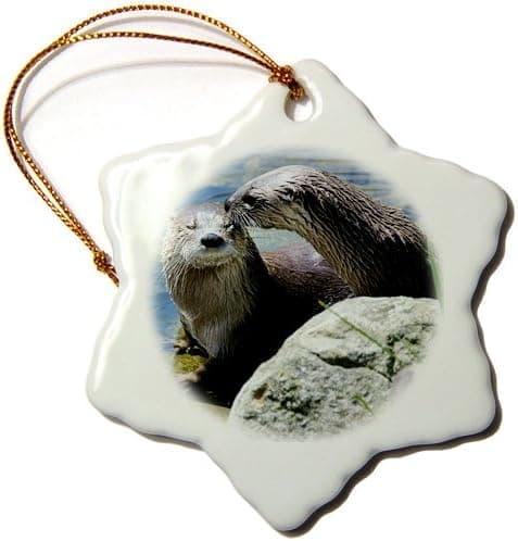3dRose orn_113809_1 Otter Love-Snowflake Ornament, 3-Inch, Porcelain