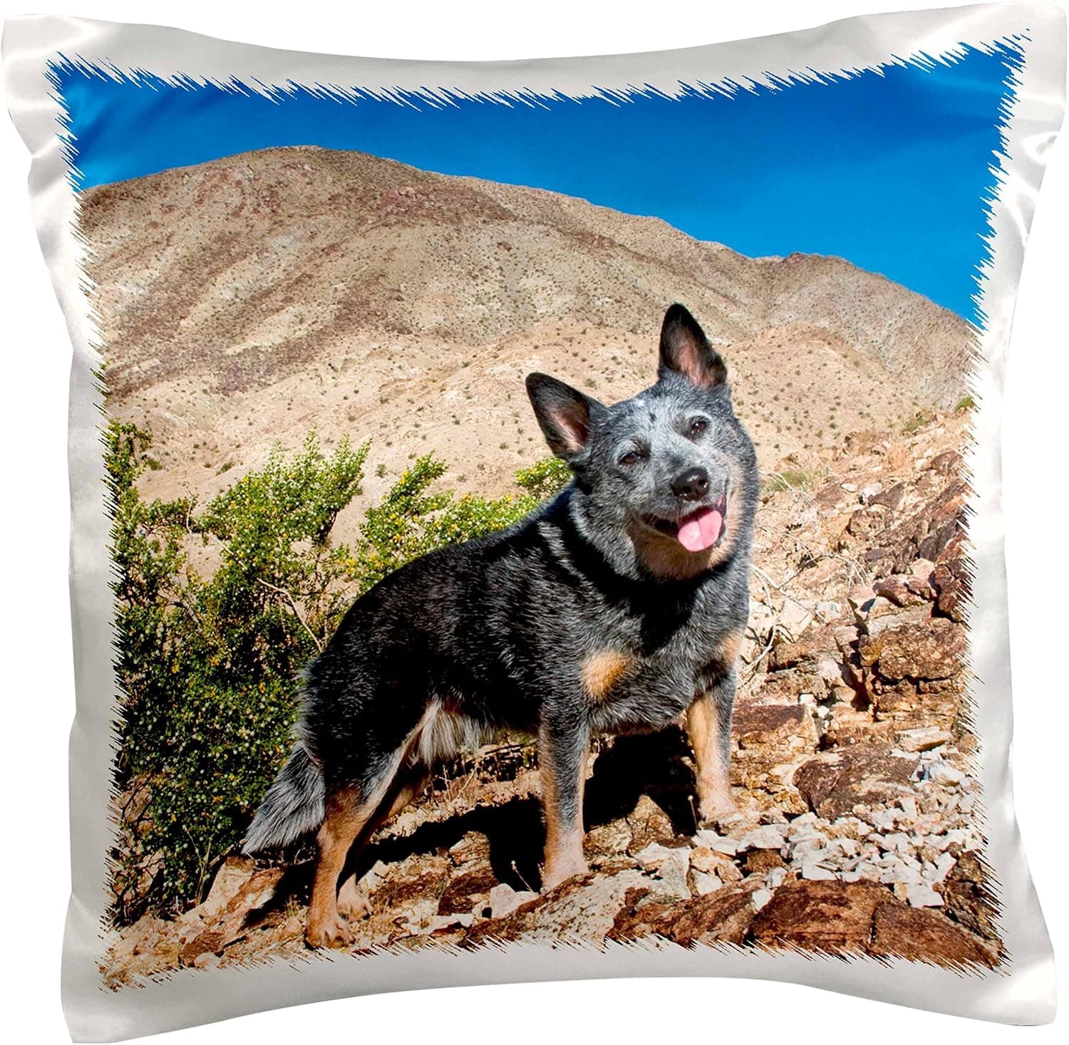 3dRose pc_88799_1 Australian Cattle Dog-US05 ZMU0118-Zandria Muench Beraldo-Pillow Case, 16 by 16"
