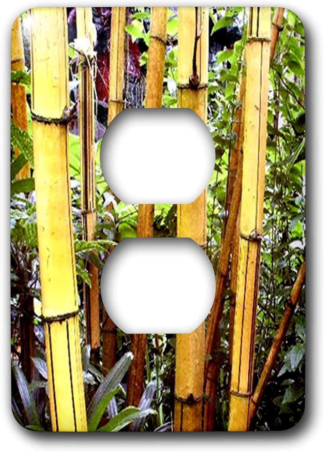 3dRose lsp_1047_6 Bamboo 2 Plug Outlet Cover