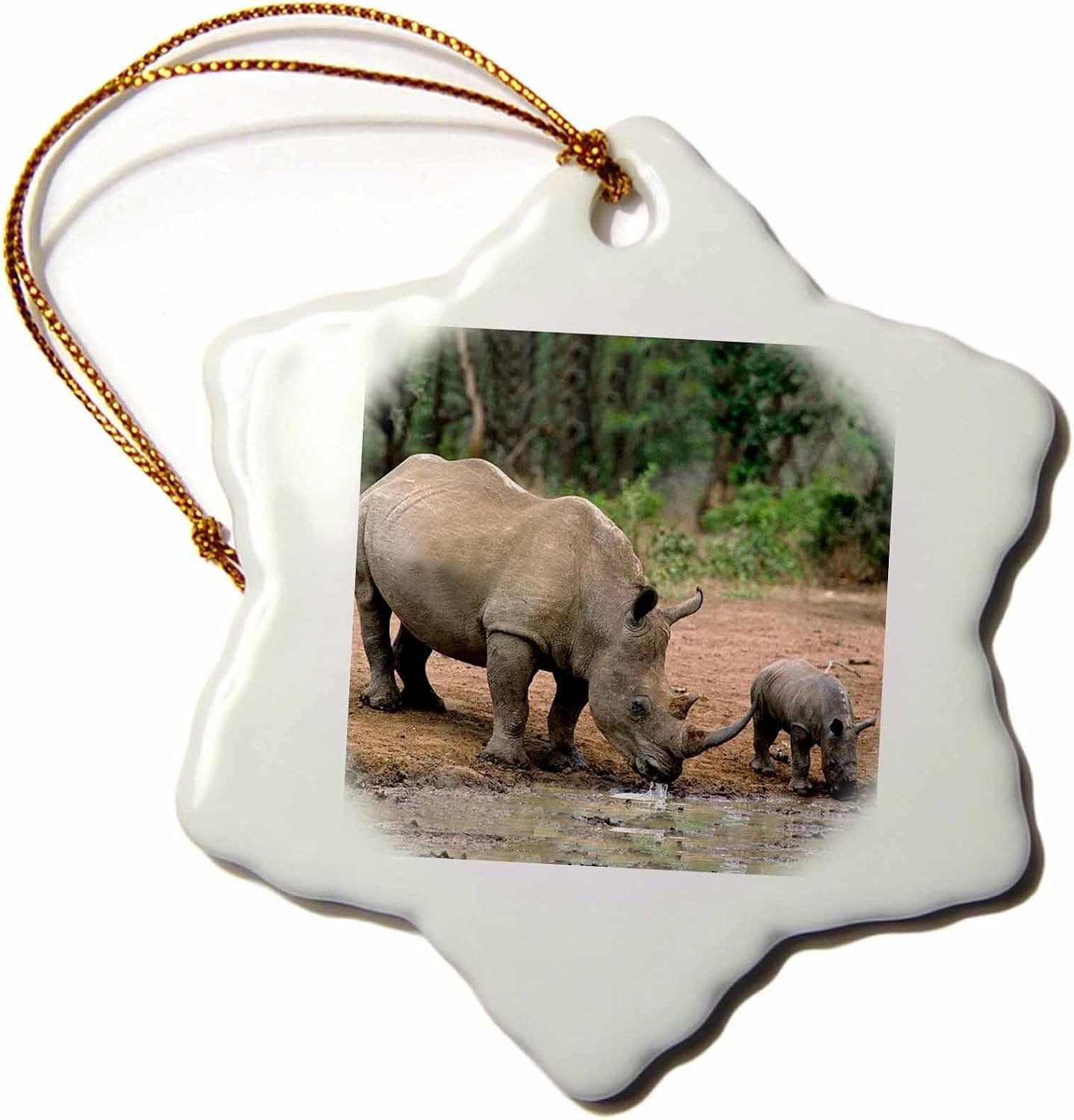 3dRose Black Rhinoceros Snowflake Porcelain Ornament, 3-Inch