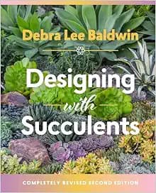 Designing with Succulents
