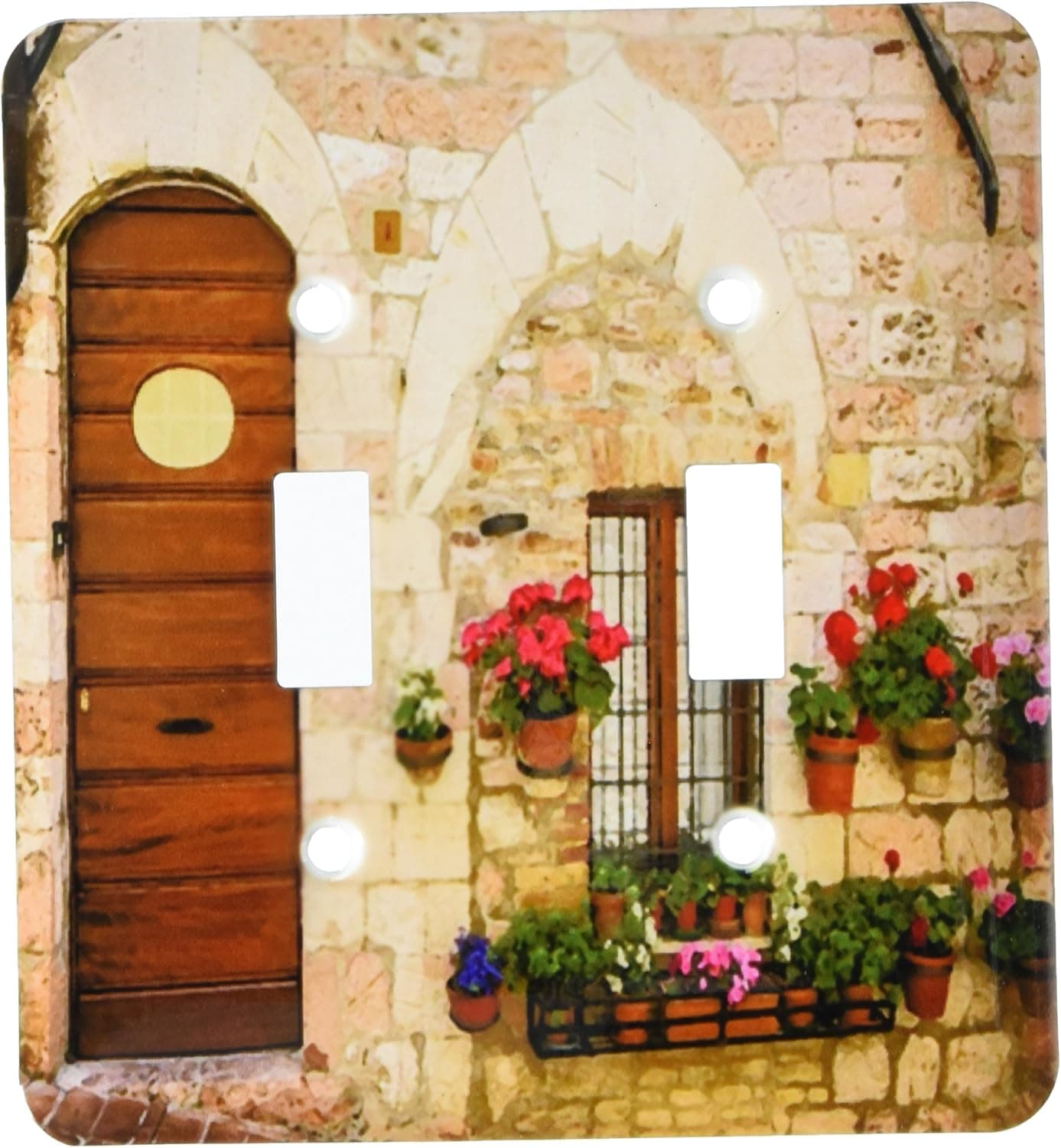 3dRose lsp_205034_2 Print of Painting of Old Italian Entryway with Flowers Double Toggle Switch
