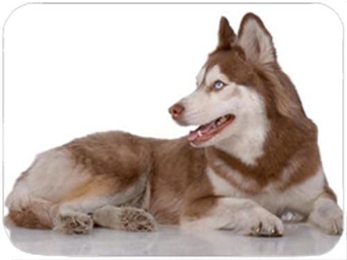 Siberian Husky Tempered Cutting Board