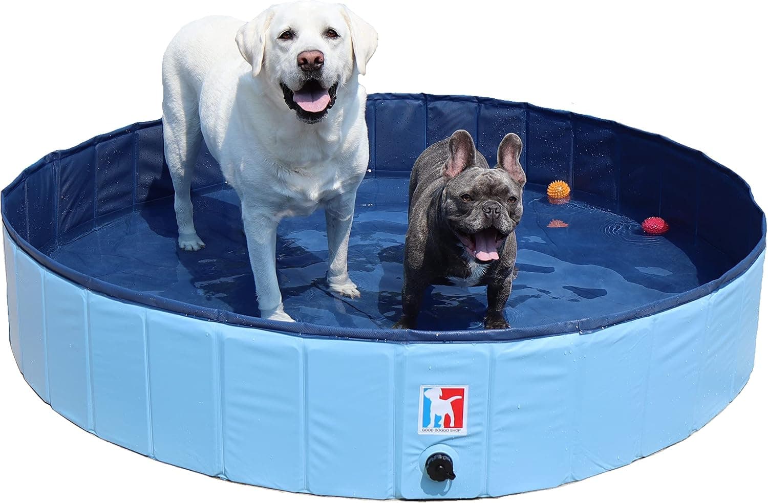 Good Doggo Shop Foldable Dog Pool - Rugged Pool for Kids and Pets - Pet Bath - Kiddie Pool - Backyard Pool (Giant Breed, Blue)