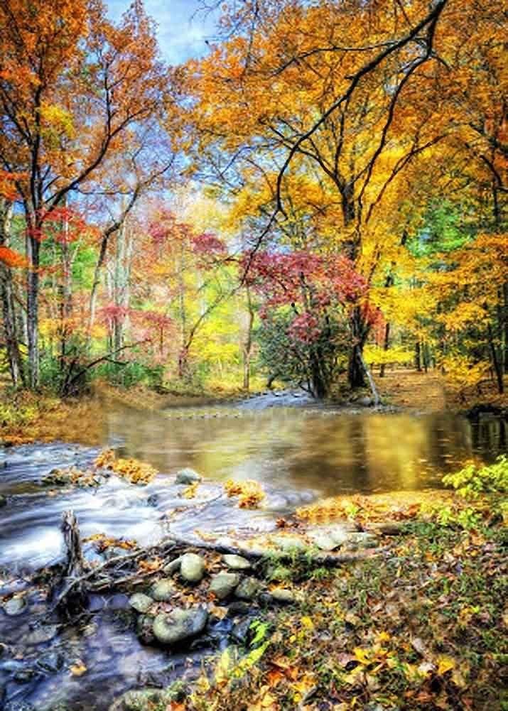 GladsBuy Mountain Stream 5' x 7' Computer Printed Photography Backdrop Autumn Theme Background XLX-094